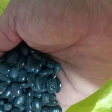 خریدار لوبیا سیاه