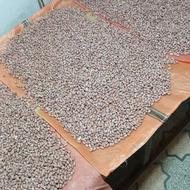 بادام زمینی استانه اشرفیه