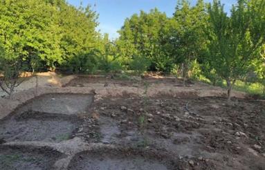 باغ 1000 متری