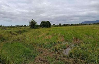 فروش زمین شالیزاری 2720 متر روستای کلرم