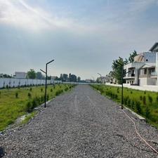 فروش زمین مسکونی 200 متر در امیرآباد