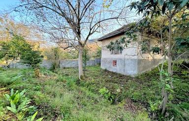 فروش زمین مسکونی 400 متر در نجارده دامنه جنگل