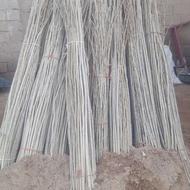 قلمه یا همان مومه صنوبر