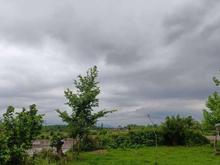 فروش زمین مسکونی در چهارده مناسب ساخت ویلا در شیپور