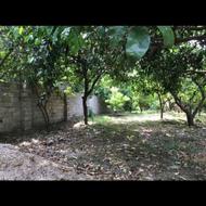 زمین 237 متری مسکونی زراعی واقع در جویبار دیوکلا الیمون