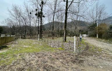 فروش زمین پلاک اول جنگل 1080 متر متلقو (سلمانشهر) جیسا