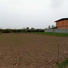 فروش زمین کشاورزی 500 متر در پایین سنگریزه