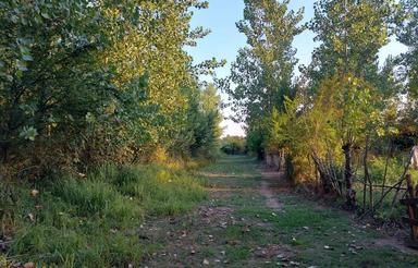 فروش زمین 750 متری .رشت به طرازکوه