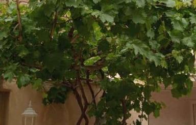 خانه ویلایی