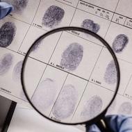 وکالت فنی وتخصصی وکیل پایه یک دادگستری