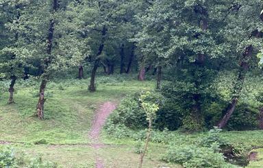 فروش یک قطعه زمین در خاله سرا 57