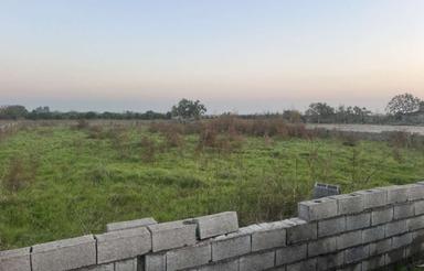 فروش زمین کشاورزی 1000 متر در داراب دین روشن