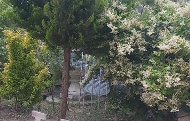 ویلانوساز65متری