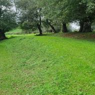 100 متر زمین زمین جنگلی داخل بافت