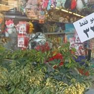 فروشنده برا مغازه