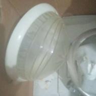 تعدادی هالوژن تک لامپ ودولامپ