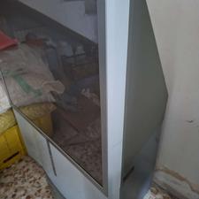 تلویزیون سونی ایستاده