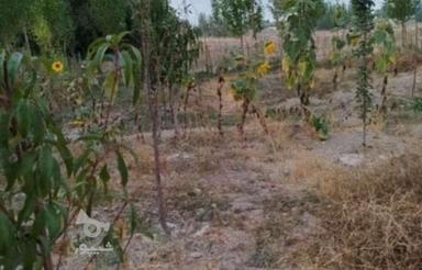 باغ چهار دیواری 500متری قلعه سفید خ منتظری