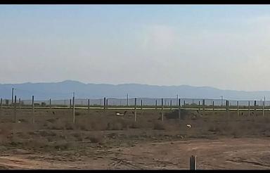 زمین واقع در تنکمان کریم اباد