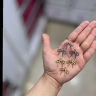 ب یک همکار خانم ترجیحا ساکن مرکز شهر نیازمندیم