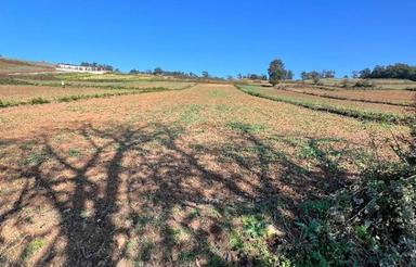 4000 متر زمین کوهسارکنده بسیار عالی