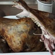 تمیز کردن کله پاچه وسیرابی وشیردان به روش کاملا سنتی