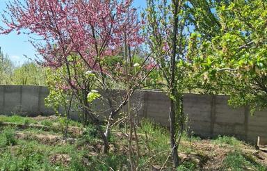 باغ میوه 4دیواری شده داخل شهرک