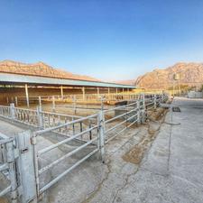 فروش گاوداری به همراه 14 هکتار زمین