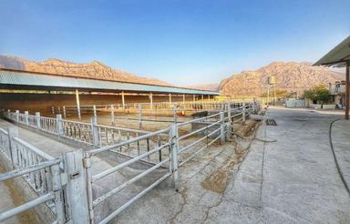 فروش گاوداری به همراه 14 هکتار زمین