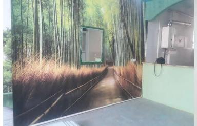 داخل فوق هنری، غرق در نور ، خوش نقشه