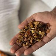 قدیمی ترین فروشگاه کشمش شمال کشور