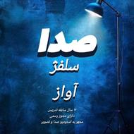 صدا،آواز،سلفژ،آهنگسازی،تنظیم