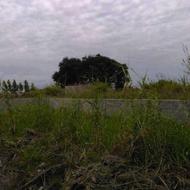 فروش زمین زیر قیمت کارشناسی