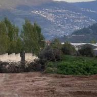 زمین جنگلی ییلاقی چلاو پاشاکلا شهرکی برند ویو عالی