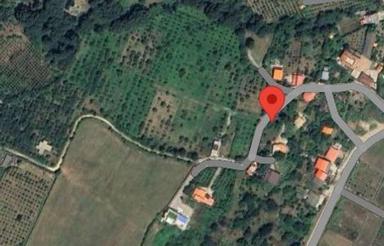 فروش زمین 1100 متر در،روستای دروار،جنب پهنکلا جنوبی