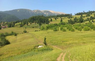 یک قطعه ملک 1400 متر رشی سی دشت