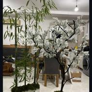 درختچه های جذاب با برگهای مصنوعی تنه طبیعی