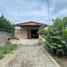 باغچه 270 متری / سندششدانگ