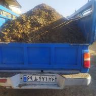 انبار یا کود گاوی