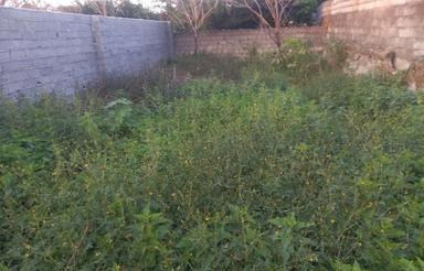 فروش زمین مسکونی 200 متر در مرکز شهر