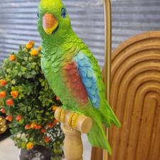 آباژور رومیزی طوطی