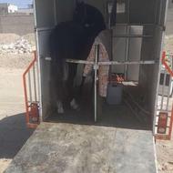 اسبکش حمل اسب