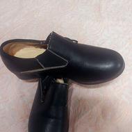 تعدادی کفش و صندل و نیم پوت زنانه