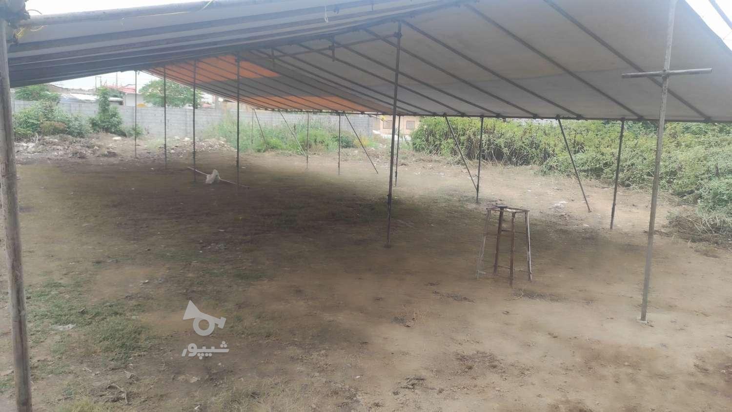 نصب چادر عروسی و داربست ساختمانی