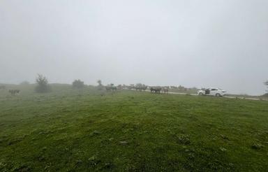 فروش زمین مسکونی 200 متر در پالند