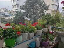 فروش واحد 65 متری یک خواب رامسر در شیپور