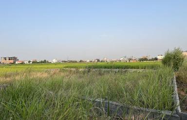 257 متر زمین در 22 بهمن