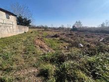 زمین مسکونی شالی 1350/گیلان/رشت/کوچصفهان در شیپور