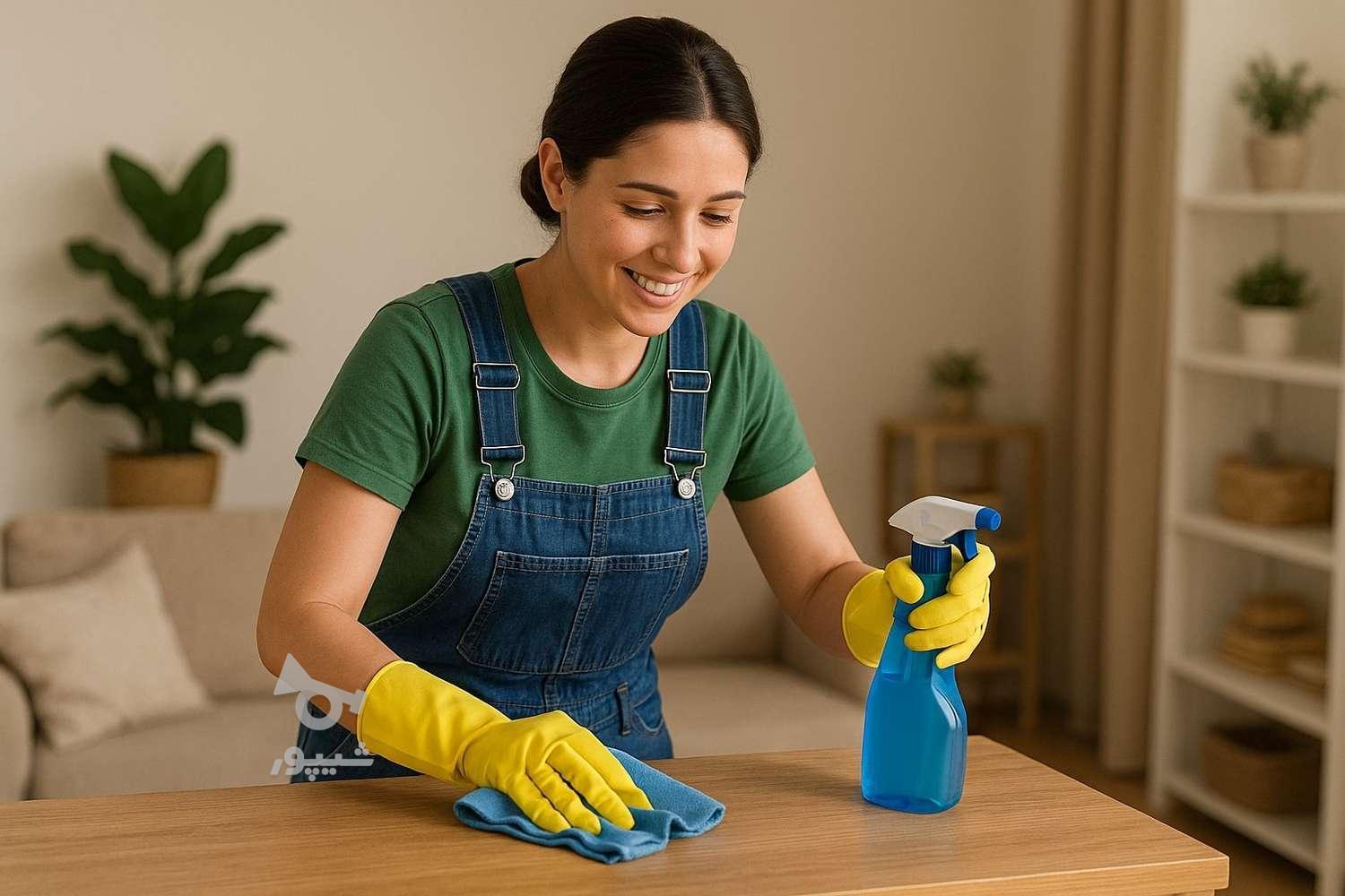 کار در منزل( نظافتچی جهت امور خانگی و روزانه) - undefined