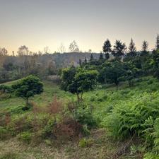 فروش زمین مسکونی 150 متر در بابلکنار